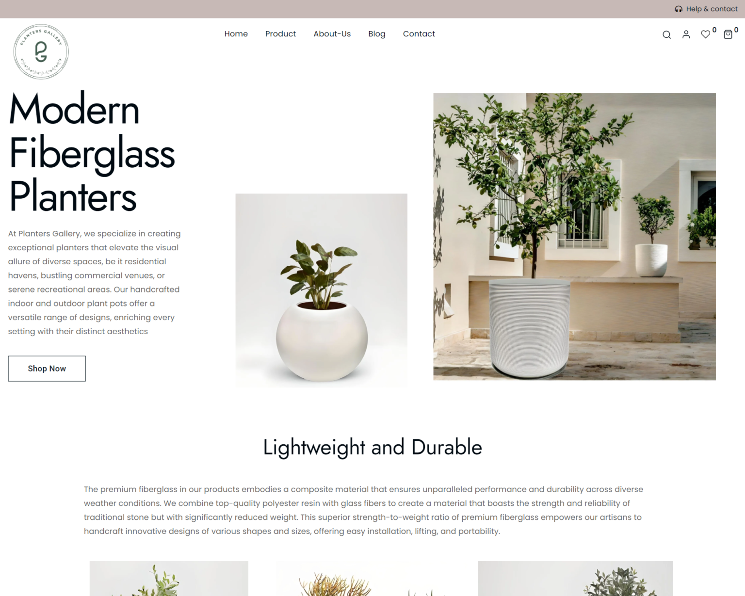 modern website design company in diago