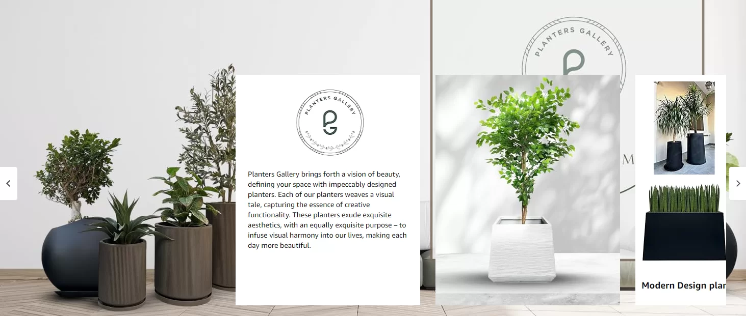 best Amazon a plus listing service for enhanced brand content design EBC for product image design amazon sellers