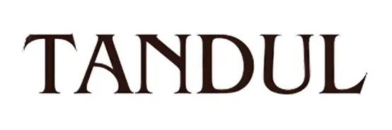 tandul fashion - highonrank client portfolio for service amazon consulting and account management